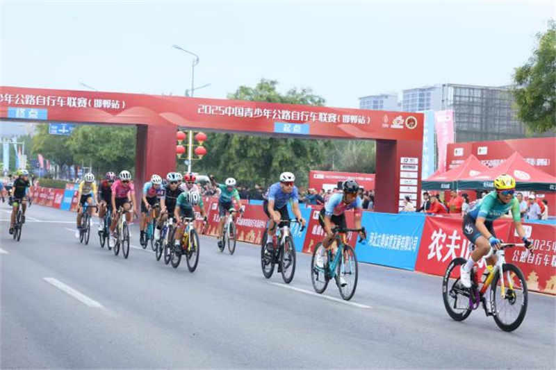 供了专业的, https